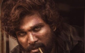 National Film Award Allu Arjun Won Best Actor National Film Award Know About Pushpa The Rise Movie